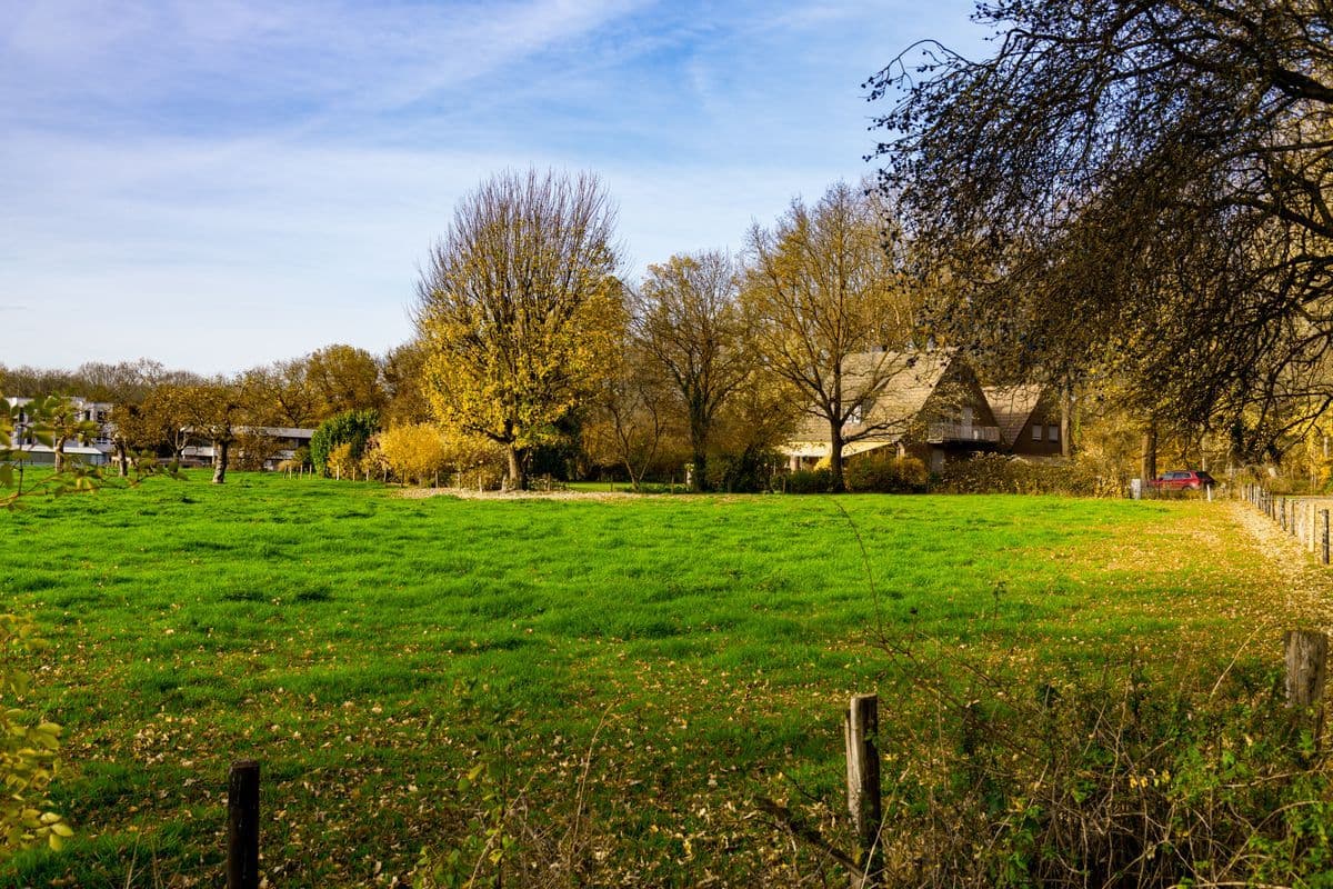 Distressed property exterior view